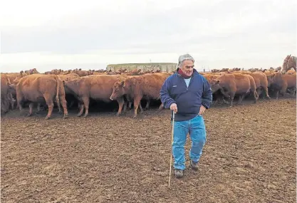  ?? ?? En su salsa. Lizaso agarró las riendas de la cabaña Agromelú en 2010 y arrancó desde cero con 70 vacas.