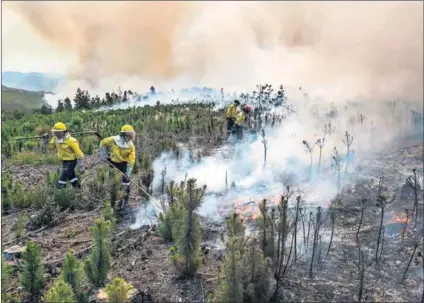  ?? Photo: David Harrison ?? Down pat: The Working on Fire teams carry out controlled burns and are sent around the country to put out runaway blazes.