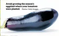  ?? Photos / Getty Images ?? Avoid growing the season’s eggplant where your tomatoes were planted.