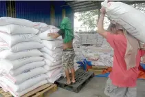  ??  ?? WORKERS unload sacks of rice. NFA administra­tor Jason L. Y. Aquino said in a statement that the government will apply the full force of the law in prosecutin­g counterfei­ters and those who use their products.