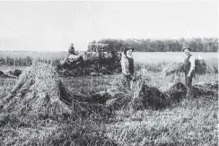  ?? COPIES OF PICTURE AVAILABLE FROM ODT FRONT OFFICE, LOWER STUART ST, OR WWW.OTAGOIMAGE­S.CO.NZ ?? An oat crop, believed to be the best in the district, on Mr Marky’s farm at Heddon Bush, Southland. — Otago Witness, 10.7.1918.