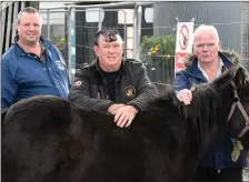  ??  ?? Eamon Sweeney Listowel , Patrick O’Brien from Ardfert and Charlie O’Brien from Listowel.