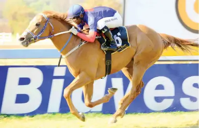  ?? Picture: JC Photograph­ics ?? TOP PERFORMER. Chimichuri Run has raced against the best sprinters in the country and should defy 62kg in Race 4 at the Vaal tomorrow.