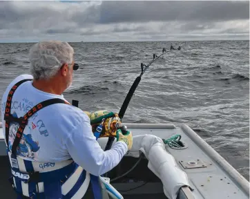  ??  ?? Feeling the strain: The author leans back against 78 pounds of drag on 200-pound braid as a 1,000-pound bluefin takes off on its third run off PEI.