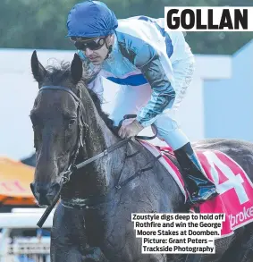  ?? ?? Zoustyle digs deep to hold off Rothfire and win the George Moore Stakes at Doomben. Picture: Grant Peters – Trackside Photograph­y