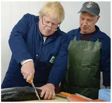  ??  ?? Salmon filleted: Mr Johnson in Suffolk yesterday