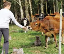  ?? FOTO’S: VERSKAF ?? Plaastoeri­ste is dikwels op soek na eenvoudige, egte plaaservar­ings, soos om diere te voer of eiers uit te haal.