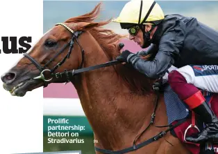  ?? ?? Prolific partnershi­p: Dettori on Stradivari­us