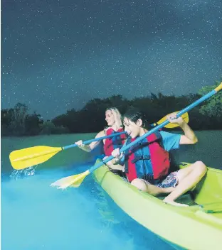  ??  ?? La laguna bioluminis­cente de Fajardo se puede recorrer en kayak en grupos familiares pequeños.