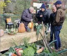  ??  ?? Les jardins familiaux ont montré leur savoir-faire