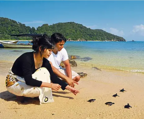  ?? — Tourism Malaysia ?? Gem Island, better known among locals as Pulau Gemia, has a great turtle conservati­on programme.