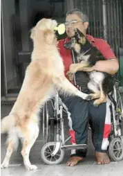  ??  ?? Goodbye Biman: The columnist introducin­g his senior service dog Soo (left) to the latest addition to the family, biman III, in 2004.