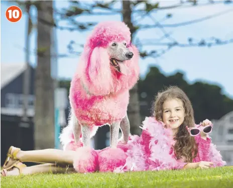  ?? Picture: NIGEL HALLETT ?? Tahlia Avgerinos, 7, from Oxenford with poodle Coco Chanel.