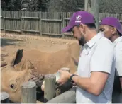  ?? ?? Blake Schraader feeds a rhino as teammate Kieran Kenny looks on.