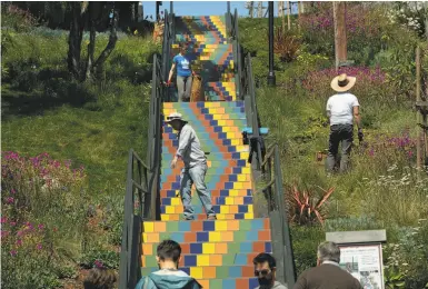  ?? Photos by Paul Kuroda / Special to The Chronicle ?? Property owners and other volunteers tend to the area around a Bernal Heights staircase that the city won’t maintain, above, near where landscapin­g designed by Nancy Banh-Boudreau attracts a honeybee, below.