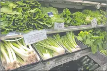  ?? BENJAMIN KAIL/THE DAY ?? Romaine lettuce is back in the produce section at Fiddlehead­s Food Co-Op in New London.
