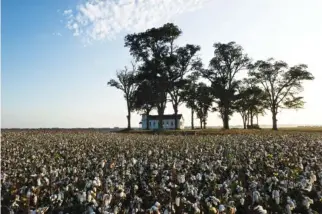  ??  ?? Magdalena Sole, “Brooklyn Chapel” from the series “The Delta — A Journey through the Deep South,” 2010, Archival pigment print, 14x21 inches. Courtesy of the artist.