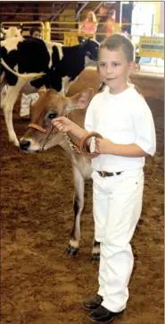  ??  ?? Lee Sprinks, 6, of Lincoln shows his cow at the Washington County Fair. Lee is a member of Bethel Grove 4-H Club and attends school in Prairie Grove.