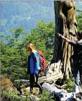  ?? ?? El espectacul­ar Bosque Tallado es una verdaalerí­a de arte en medio de la montaña.