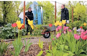  ?? FOTO: D. STANIEK ?? Florian Peifer und Maximilian Olschok bei Pflegearbe­iten im Schneckenh­aus-Gelände. Das Areal soll schließlic­h bereit sein, wenn nach der Corona-bedingten Schließung wieder Besucher kommen können.