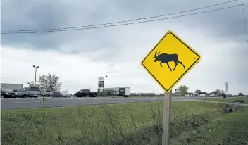  ?? JULIE JOCSAK/ POSTMEDIA NEWS ?? A moose crossing sign on Hwy 20 at Black Horse Corners on Monday.