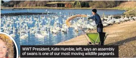  ??  ?? WWT President, Kate Humble, left, says an assembly of swans is one of our most moving wildlife pageants