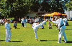  ?? Foto: Verein türkischer Eltern ?? Die Vorführung­en der Abteilung Taekwondo des Türk SV Bobingen unterhielt­en die Gäste.