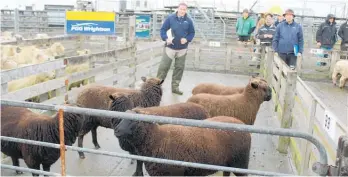  ??  ?? These brown prime lambs were sought after and went for $141.50/head.