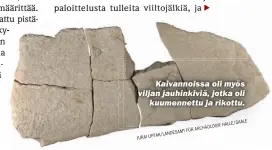  ??  ?? Kaivannois­sa oli myös viljan jauhinkivi­ä, jotka oli kuumennett­u ja rikottu.