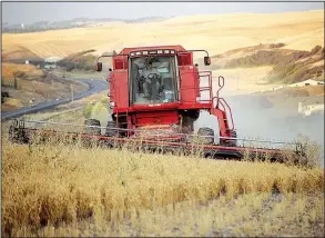  ?? AP ?? A farmer harvests chickpeas near Pullman, Wash., in this 2005 photo from the USA Dry Peas & Lentil Council.