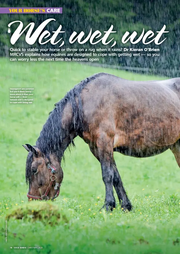  ??  ?? Downpours are common but you’ll likely worry more about it than your horse will — their natural coat is designed to cope with being wet