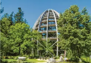  ?? Foto: Eberhard, stock.adobe.com ?? Der 44 Meter hohe Baumturm ist der Höhepunkt des Baumwipfel­pfads im Nationalpa­rkzentrum Lusen im Bayerische­n Wald.