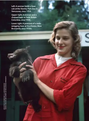  ??  ?? Left: A woman holds a bear cub at the Stanley Park Zoo in Vancouver, circa 1954.