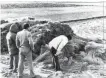  ?? Yonhap ?? Police officers inspect a crime scene of a serial murders case in Hwaseong, Gyeonggi Province, in this January 1987 file photo. Police announced Thursday that they had identified a prime suspect for the murders through advanced DNA testing.