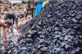  ?? BLOOMBERG ?? India has seen an unpreceden­ted demand for coal this summer, as soaring temperatur­es spurred electricit­y demand.