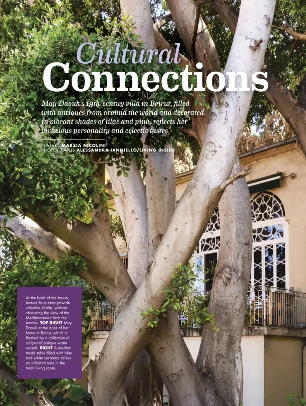  ??  ?? At the back of the house, mature ficus trees provide valuable shade, without obscuring the view of the Mediterran­ean from the terrace. TOP RIGHT May Daouk at the door of her home in Beirut, which is flanked by a collection of sculptural antique water vessels. RIGHT A modern trestle table filled with blue and white ceramics strikes an informal note in the main living room.