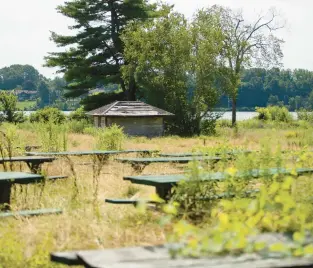  ?? COURANT FILE PHOTO ?? Rows of picnic tables sit in unkempt landscapin­g in front of an abandoned building near the beach at Batterson Park in Farmington on Aug. 1, 2019.