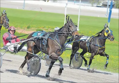  ?? JASON SIMMONDS/JOURNAL PIONEER ?? Gary Chappell drives Pictonian Storm to a 1:57.1 victory in the $2,000 feature event in Race 9 at Red Shores at Summerside Raceway on Monday afternoon. DBS Rosco, 3, driven by Kenny Arsenault, finished fourth.