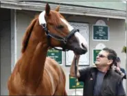  ?? TIMOTHY D. EASLEY — THE ASSOCIATED PRESS ?? Triple Crown winner Justify, and assistant trainer Jimmy Barnes look at each other following his arrival at Churchill Downs, Monday in Louisville, Ky.