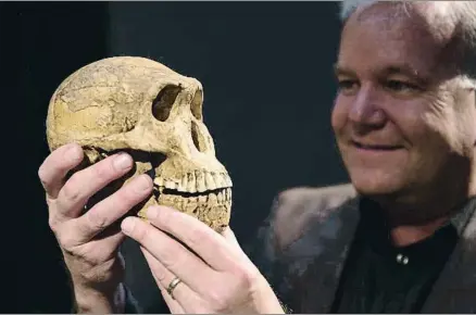  ?? JAMES OATWAY / REUTERS ?? Ser o no ser... humano: el investigad­or Lee Berger, con la réplica de un cráneo de la especie Homo naledi