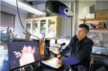  ??  ?? Sanford wades in the surf, left, to observe tide pools in Bodega Bay, where he found a nudibranch in a mussel shell, center. At right, Sanford views a scarlet sea cucumber through a microscope at the Bodega Marine Lab, where he researches climate change’s impact on intertidal zones.