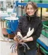  ??  ?? Isabel Schmalenba­ch ist Umweltwiss­enschaftle­rin in einer Hummeraufz­uchtstatio­n auf Helgoland.