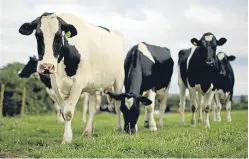  ?? Picture: Getty. ?? Dairy farmers supplying Muller are set to benefit from an increase in milk prices.