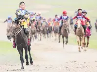  ?? PHOTO: REUTERS ?? Going for it . . . Young jockeys ride their horses to the finish line during a race at the Mongolian traditiona­l Naadam festival.