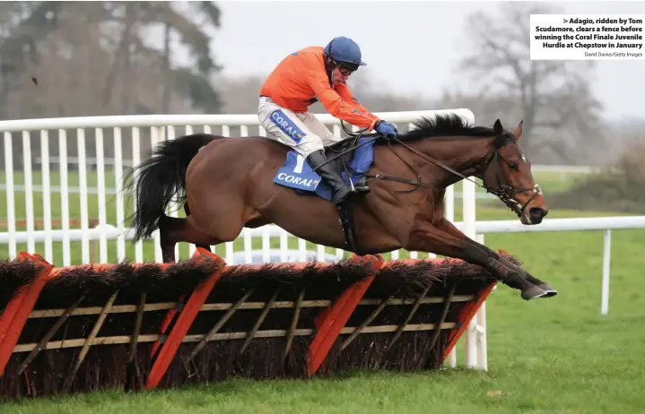  ?? David Davies/Getty Images ?? > Adagio, ridden by Tom Scudamore, clears a fence before winning the Coral Finale Juvenile Hurdle at Chepstow in January