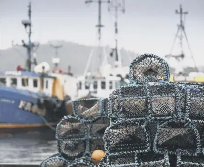  ??  ?? 0 If the SNP have their way, Scottish fishing would have to abide by the Common Fisheries Policy, says Douglas Ross