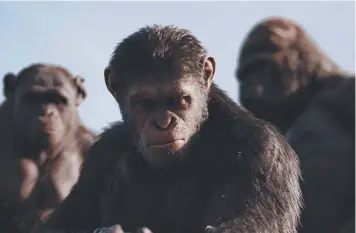  ??  ?? Hostilitie­s break out between ape and human in War for the Planet of the Apes despite efforts to reach common ground.