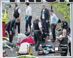  ??  ??    HORROR: The Westminste­r attack