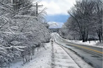  ??  ?? A break in the weather... but for how long? Most people wouldn’t mind the snow if it always looked as pretty as this. Blake Haley came across this bare tree lined road near Braeshore – in Pictou county, N.S.