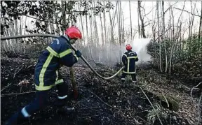  ??  ?? A Roz-sur-Couesnon, quatre hectares ont brûlé à cause d’un imprudent.